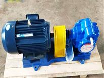 kcb200防爆變頻齒輪泵-kcb200防爆齒輪泵