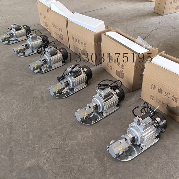 WCB100手提式齒輪泵