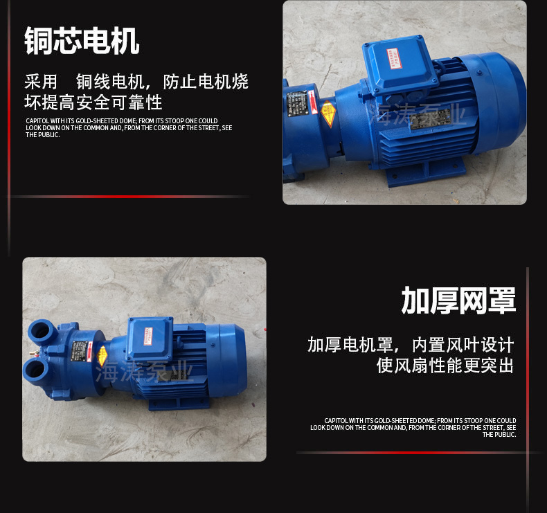 2bv真空泵，2bv系列水環(huán)式真空泵